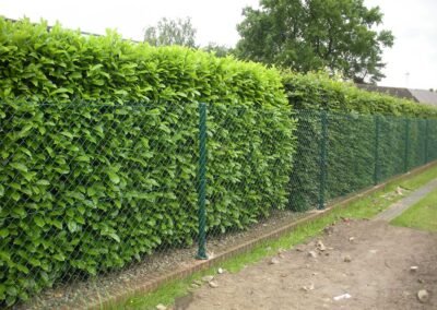 81 SD Metaalwerken Afsluitingen